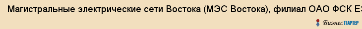 Магистральные электрические сети Востока (МЭС Востока), филиал ОАО ФСК ЕЭС, Хабаровск
