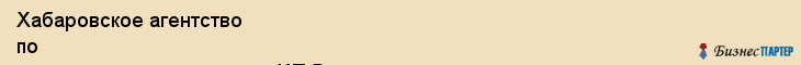 Хабаровское агентство по торговле недвижимостью, ИП Визельтер, Хабаровск